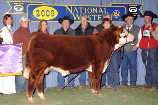 C-S Gran Torino 8172 ET - NWSS 2009