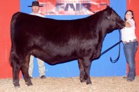 Malsons Savannah 133W