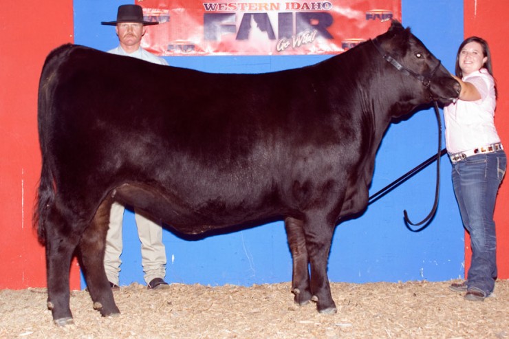Malsons Savannah 133W