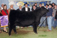 Malsons Savannah 27W - NWSS 2011